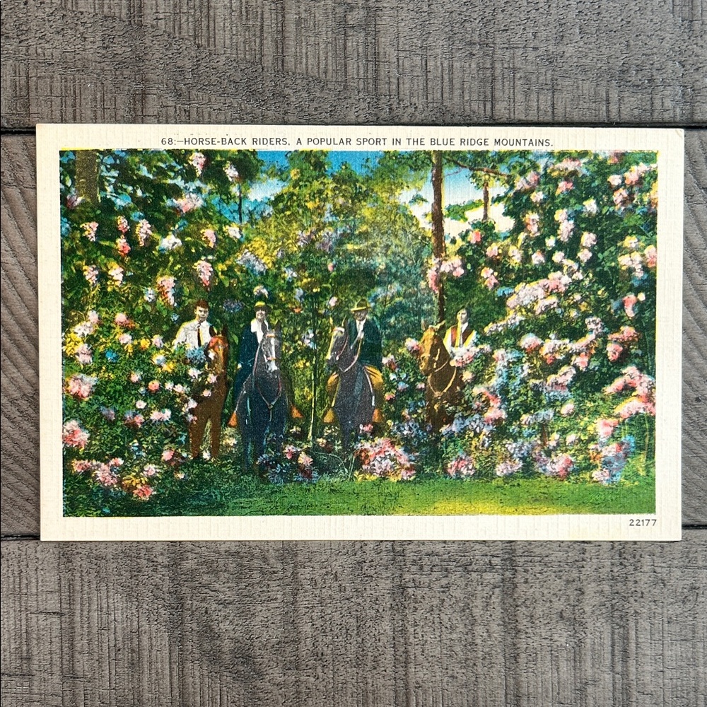 Vintage Horseback Riding Blue Ridge Mountains Linen Postcard
